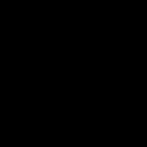 Meet your Posher, Gianna